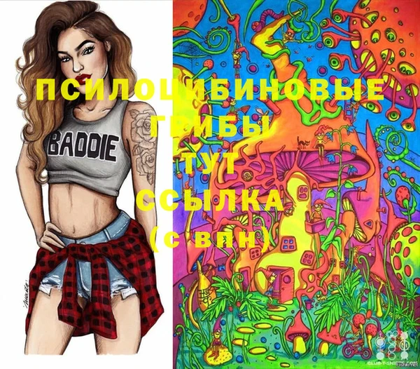 PSILOCYBIN Богородицк