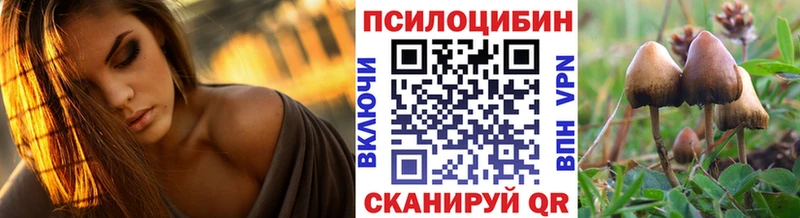 купить наркоту  Нарьян-Мар  Псилоцибиновые грибы прущие грибы 